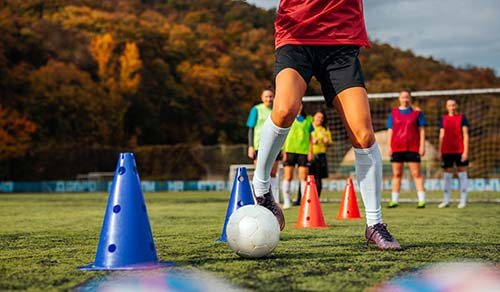 Start With Basics You Can Trust