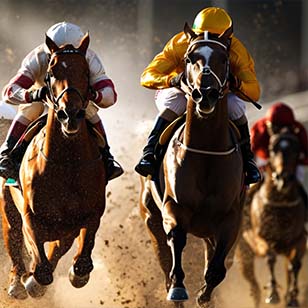 Training Like a Thoroughbred - What Soccer Players Can Learn